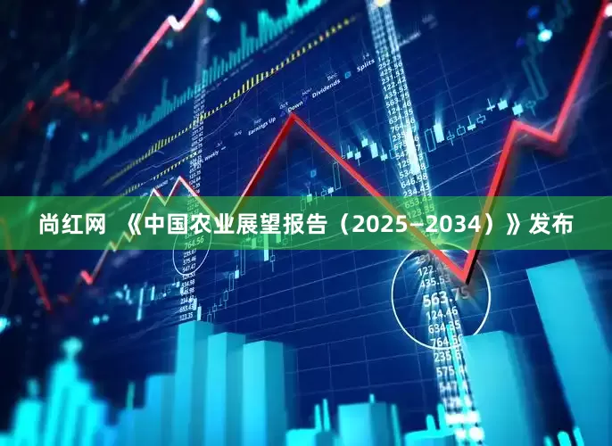 尚红网  《中国农业展望报告（2025—2034）》发布