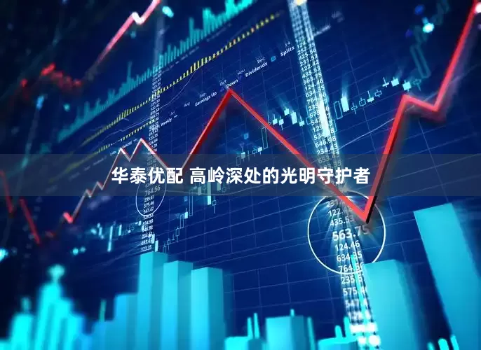 华泰优配 高岭深处的光明守护者