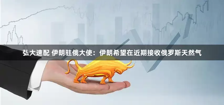 弘大速配 伊朗驻俄大使：伊朗希望在近期接收俄罗斯天然气