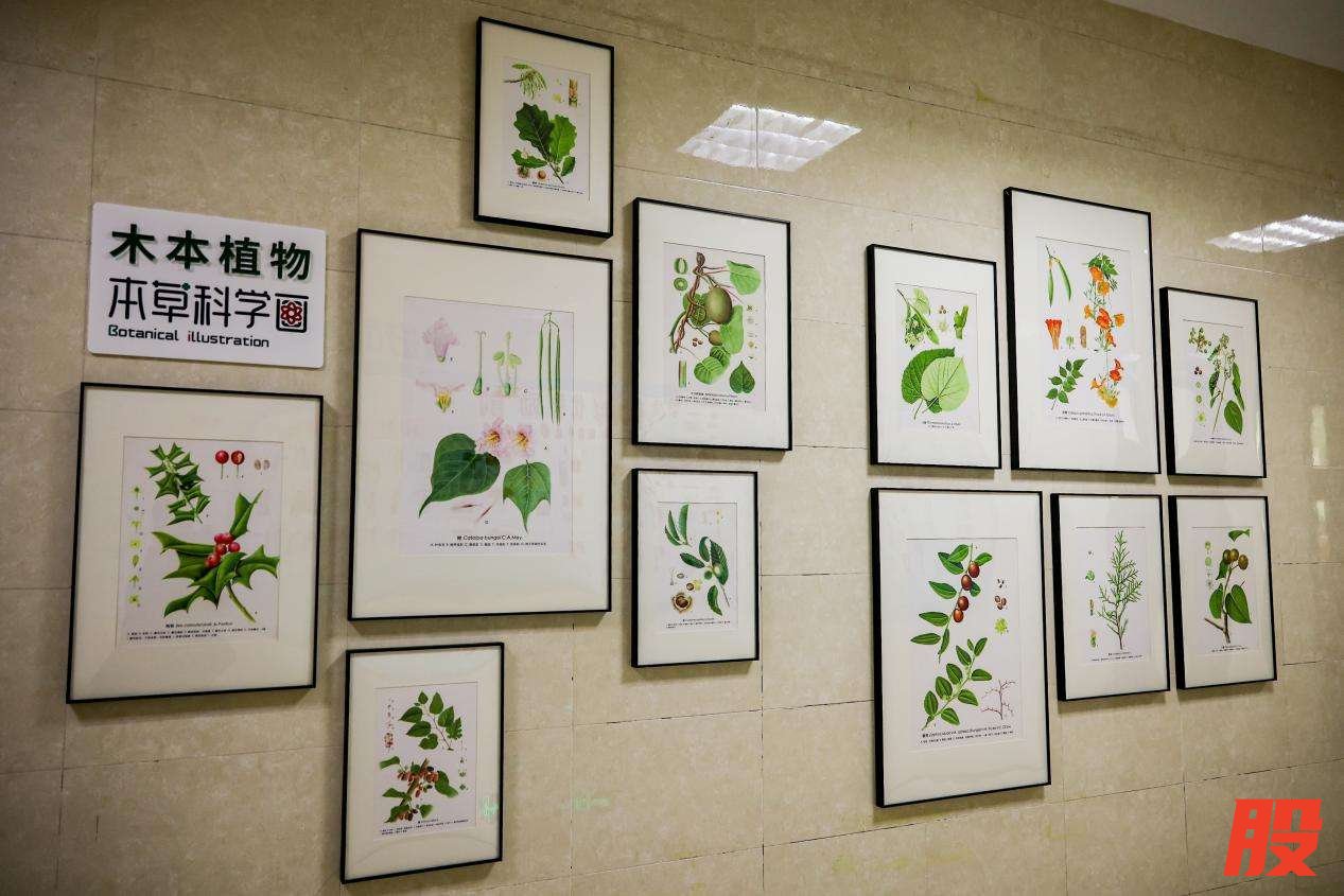 /private/var/folders/9j/9gw7sn210nq2gc83vbppcblh0000gn/T/com.kingsoft.wpsoffice.mac/picturecompress_20251202183133/output_1.jpgoutput_1